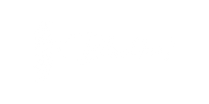 Blackbird Guitars Logo