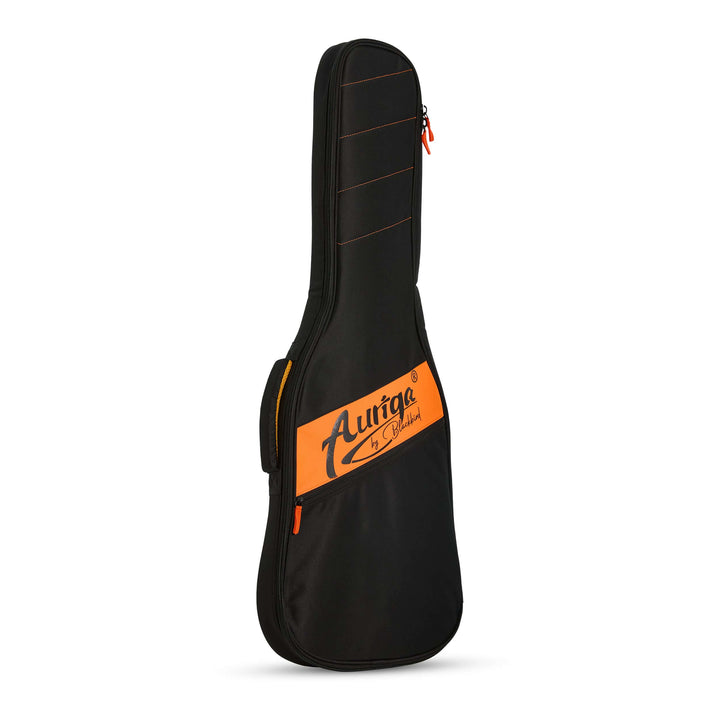 Guitar accessories — gig bag